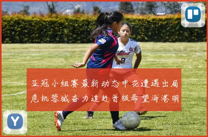 亚冠小组赛最新动态申花遭遇出局危机蓉城奋力追赶晋级希望海港明日迎战挑战