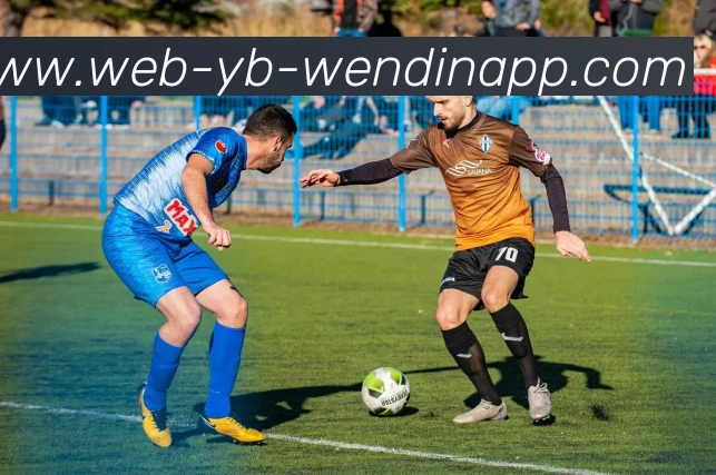 问鼎娱乐平台生态图